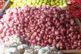 Harga bawang di pasar Ambon turun