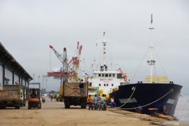 INSA: Kelancaran birokrasi perizinan mencegah "delay" keberangkatan kapal