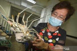 Ekspor membaik, Menkeu Sri Mulyani optimistis cetak 500 ribu eksportir pada 2030