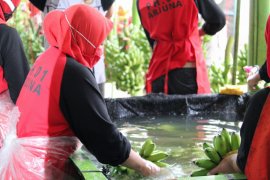 Disnaker Lampung dorong perusahaan bayar THR 7 hari sebelum hari raya