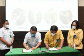 Petrokimia Gresik dan PTPN X kerja sama tingkatkan produktivitas tebu