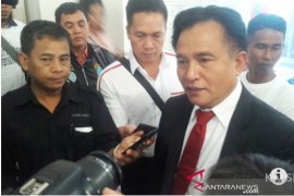 Prof Yusril pastikan pembelaan maksimal untuk eks Sekda Tanah Bumbu