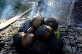 Benarkah air kelapa bakar dapat bersihkan paru-paru? Ini faktanya
