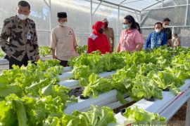 BRI  bantu kelompok wanita tani