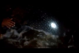 Seekor ikan paus terdampar di Pantai Bayem Tulungagung