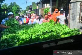 Aksi Membagi Sayur Saat Bulan Ramadhan Page 1 Small