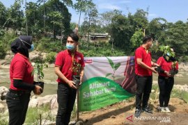 Alfamart tanam pohon di tepi sungai Cileungsi peringati Hari Bumi