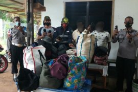 Polisi gagalkan penyelundupan 175 kg vanili di wilayah perbatasan RI-PNG