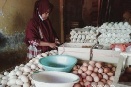 Pekan kedua Ramadhan harga sejumlah sembako turun