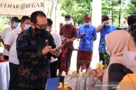 Wagub ingin usada Bali jadi alternatif pengobatan masyarakat