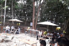 Serunya "ngabuburit" di Ruang Hijau sambil kasih makan rusa