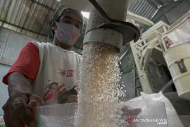 Hujan pengaruhi produksi penggilingan padi petani