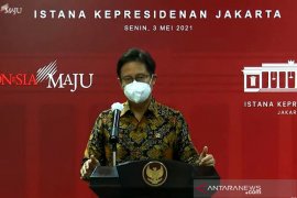 Health minister confirms three coronavirus strains in Indonesia