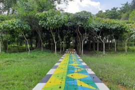 Pasca tambang terintegrasi, capaian reklamasi Adaro 100 persen lebih