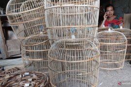 Pelaku UMKM harus bisa manfaatkan peluang pasar di tengah pandemi