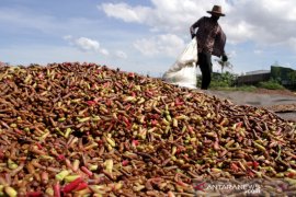 Trail Hongitochten in North Maluku