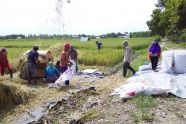 Sebangun Bumi Andalas bantu optimalkan lahan pertanian petani OKI