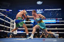 Pemenang duel Makabu versus Mchunu bakal  hadapi Saul 'Canelo' Alvarez