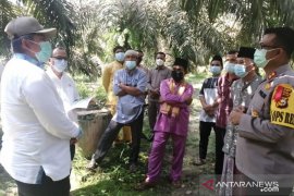 Alfedri tinjau perbatasan Siak-Kampar di Kampung Rantau Bertuah Minas