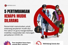Lima pertimbangan kenapa mudik dilarang