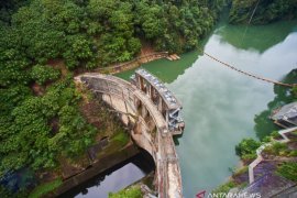 Inalum tanam 500 ribu pohon  hijaukan Danau Toba
