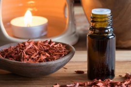 Ini manfaat kayu cendana merah, atasi sakit kepala hingga sembuhkan luka