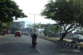 Wabup Mamuju janji akan pangkas pohon yang berpotensi tumbang