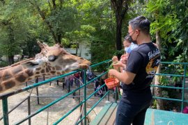 Pengunjung KBS capai 17.801 orang selama empat hari libur Lebaran