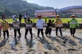 Bupati Pessel dengarkan aspirasi poktan dengan bertanam padi bersama masyarakat