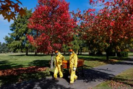 Argentina laporkan kenaikan tertinggi harian COVID-19