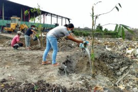 Program Merah Putih Hijau tanam pohon Bambu di TPA Temesi Gianyar