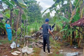 Harga karet tingkat petani di Sambas Rp12.000 per kilogram