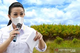 Pemerintah Kabupaten Landak evaluasi perizinan 51 perusahaan perkebunan