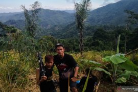 Peringati hari lingkungan hidup Pena Hijau lakukan ekspedisi Meratus