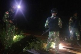 Satgas Pamtas amankan ratusan batang kayu belian ilegal di perbatasan Kalbar