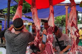 Harga daging sapi di Jayapura stabil Rp150.000/kg