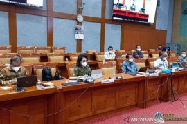 Rektor UNP dukung pemerintah untuk rekrutmen ASN GTK jalur honorer