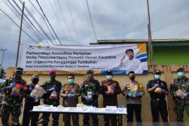 Karantina Pertanian Tarakan Musnahkan Ratusan Kilogram Daging Ilegal