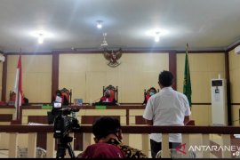 Terkait Karhutla, Direktur PT DSI divonis satu tahun penjara, perusahaan didenda Rp5,5 miliar