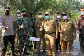 Gubernur Erzaldi: Tanaman hutan rakyat, solusi atasi penambangan ilegal Babel