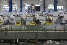 Pasokan Kelapa Indonesia Untuk Pabrik Minuman Kelapa Di China