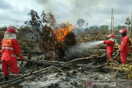 Delapan kabupaten di Sumsel bersiap hadapi karhutla