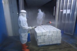 Udang berkontribusi  besar terhadap ekspor hasil perikanan Sumut