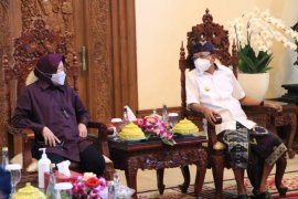 Mensos beri sinyal gelar pahlawan nasional untuk Ida Dewa Agung Jambe