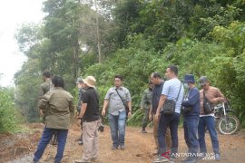 Dinas Kehutanan Sumut nyatakan areal bukaan lahan Hutaimbaru Sipirok kantongi izin