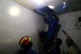 Ular sanca 1,2 meter sembunyi di plafon dan bikin repot pemilik rumah