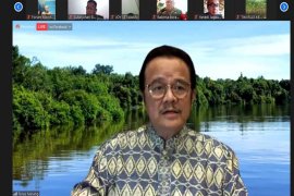 Kemen LHK diminta perhatikan hak masyarakat Kalteng di food estate