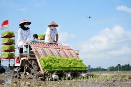 Pemkab Banyuwangi-Pupuk Indonesia tanam padi perdana metode "agro solution"