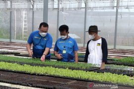 Mentan serta Menkop-UKM dorong program korporatisasi UMKM pertanian