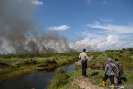 Lahan Di  Ogan Ilir Kembali Terbakar Page 5 Small